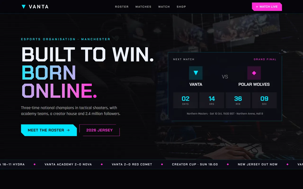 Vanta Esports template preview